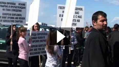 Пролет пукна, животновъдите излязоха