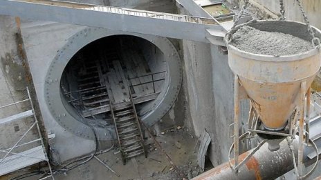 Кметицата кръсти къртицата &ndash; "София"