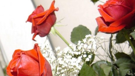 Рози от ГЕРБ и книга от БСП за рожденика Станишев