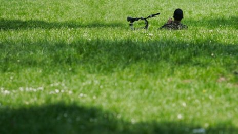 Пръскат против бълхи и кърлежи в София