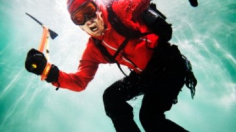 Склонността към риск е вродена