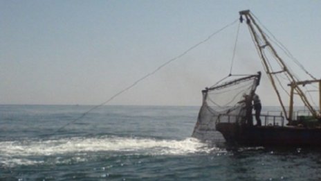 2 км мрежи за калкан конфискуваха край Дуранкулак