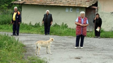 Домашни кучета нахапаха възрастна жена от Дряново