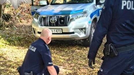 Нападение с нож в полско училище, най-малко седем са ранени