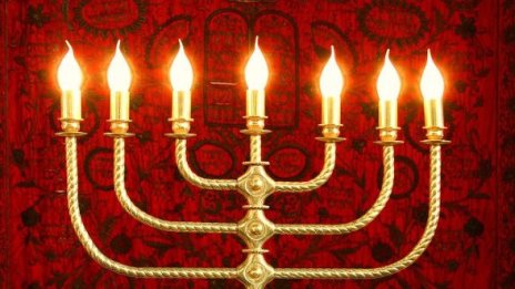 Напусна ни операторът Гриша Вагенщайн