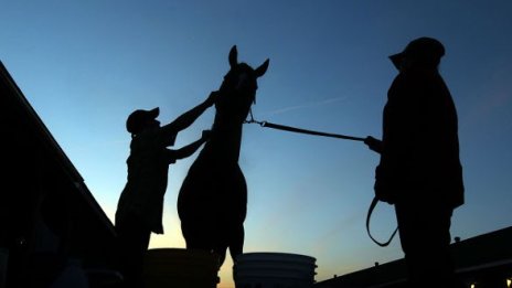 Коне се врязаха в зрители на парад в САЩ, загина жена