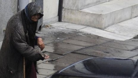 Прибраха 13 просячета от улицата само за седмица