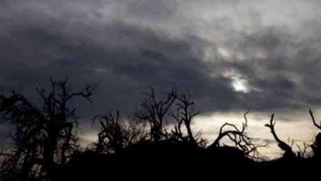 Учени: Депресираните хора виждат черно-бяло