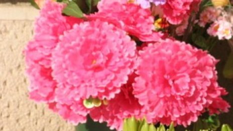 Хванаха крадеца, обрал банка с китка в ръка в САЩ