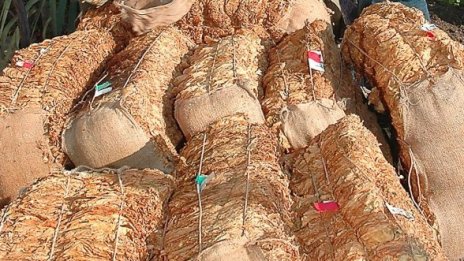 Хванаха 6 тона тютюн, прекарван през границата като хартия