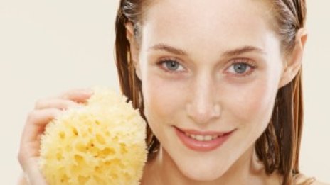 А сега, де! Морската гъба имала 70% от човешките гени