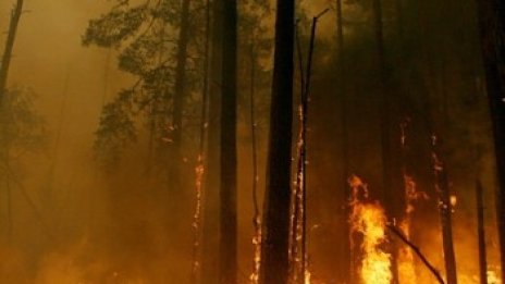 Имущество на въздушнодесантните войски изгоря край Москва