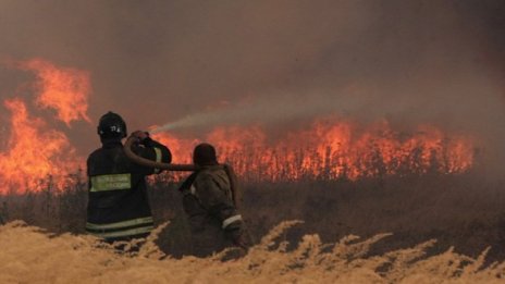 Гореше всичко, беше ужасно. Не се виждаше слънцето!