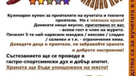 Кулинарно парти за кучешки приют