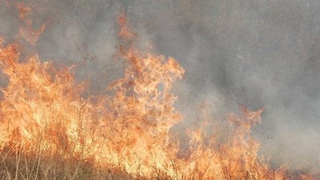 Треви горят между столичните кв. Факултета и Западен парк