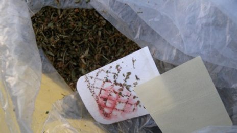 Откриха канабис в бобовдолския затвор