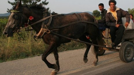 Пиян каруцар се натресе на тролей в Пловдив