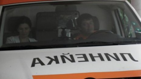 Мъж загина, след като беше намушкан от бик в сърцето
