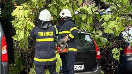 Паднали дървета от обилния дъжд в Пловдив и Варна, наводнени улици в Бургас