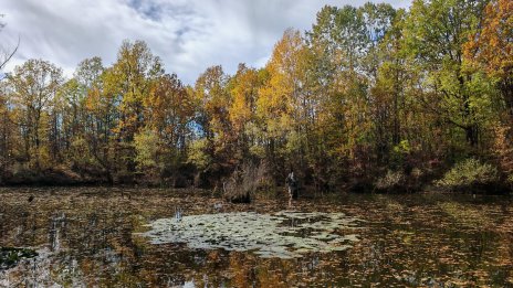 Топъл и слънчев ще е първият ден на ноември