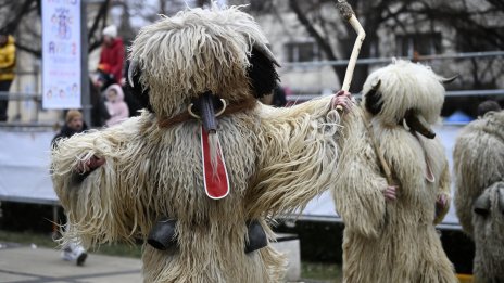 Кукери от България и чужбина на "Сурва" ВИДЕО