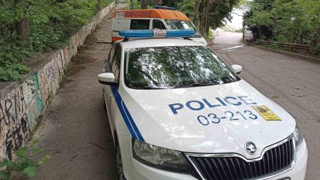 Кола се обърна след удар с глиган, 20-годишен е с опасност за живота