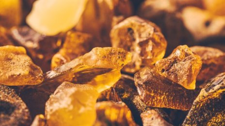 Балтийски кехлибар в грижа за кожата и косата