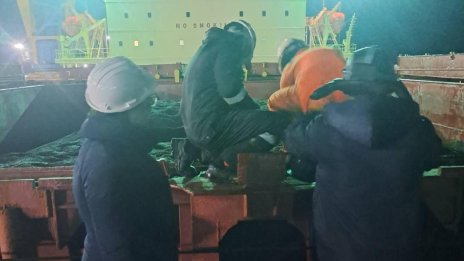 Идват още 12-14 кораба с опасен слънчоглед, има опасност от токсично олио