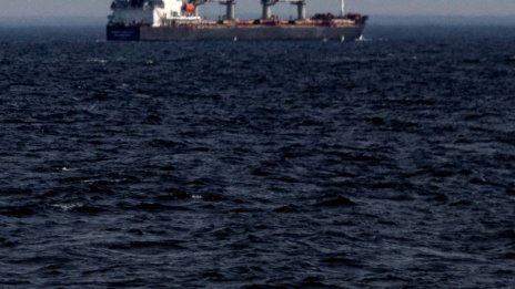 Риба балон – нов опасен хищник в Черно море