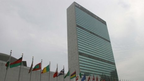Дървеници превзеха две сгради на ООН в Ню Йорк