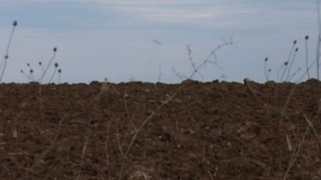 Земя за бедните – да се изхранват