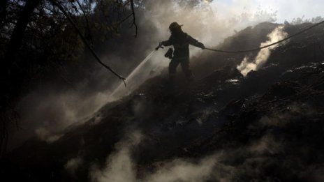 По 1000 лв. за пожарникарите, гасили в Израел
