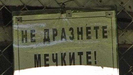 Зоопарковете в Пловдив, Русе, Шумен и Димитровград работят без лиценз