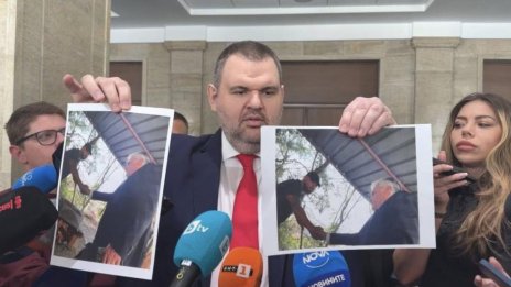 Пеевски извади нови снимки: Сатрапът Рашков излъга, гърчи се като червей