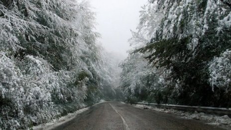 Пътищата в страната &ndash; проходими при зимни условия