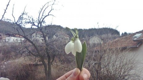 Седмицата: слънчева и топла до 12&deg;