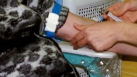До края на седмицата обявяват грипна епидемия и в Пловдив