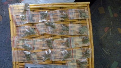 Закопчаха двама за канабис в Козлодуй