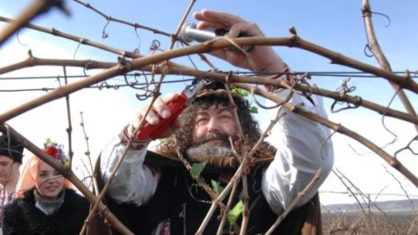 В бъклица налейте вино и отпийте за Трифон Зарезан