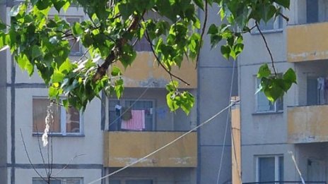 Гюрултия в Студентски град, момиче счупи термометър