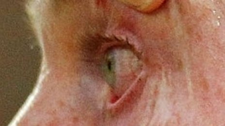 Най-малкият компютър е голям само 1 кв. мм