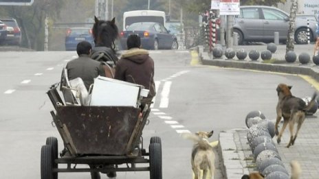 Задържаха роми, грабили и били столичани