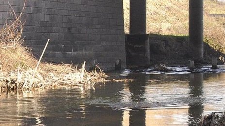 Замърсена е река Огоста в района на Монтана