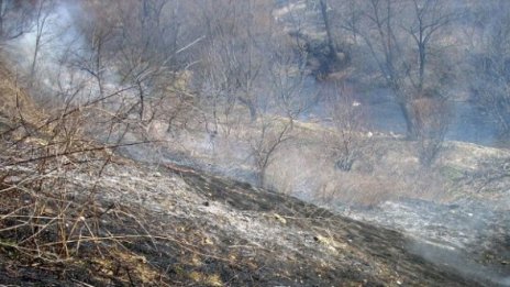 Два пожара горят край магистрала Тракия
