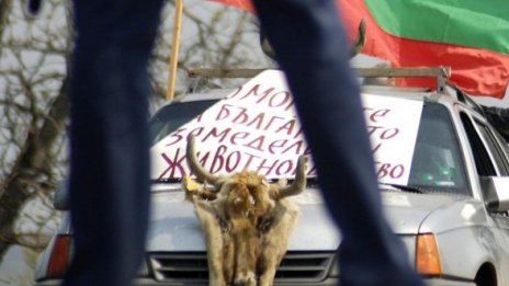 И животновъди и защитници на чуждите граждани на протест