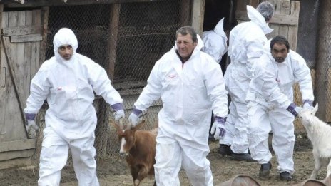 Без ваксинация срещу шапа, отсече Найденов