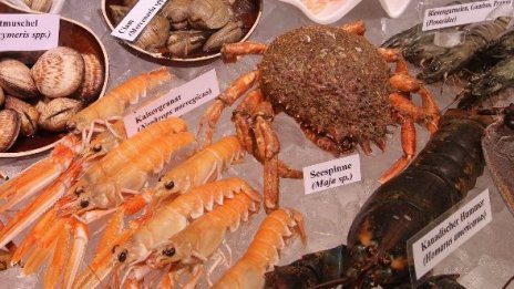 Научен пробив: Топки за голф от черупки на омари