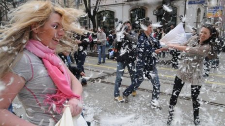 Пух и перушина в центъра на София