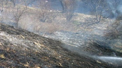 Пожар изпепели гора край стената на язовир "Искър"