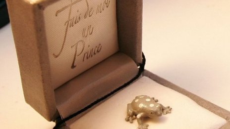 Романтиката умира. Естествено, виновни са мъжете